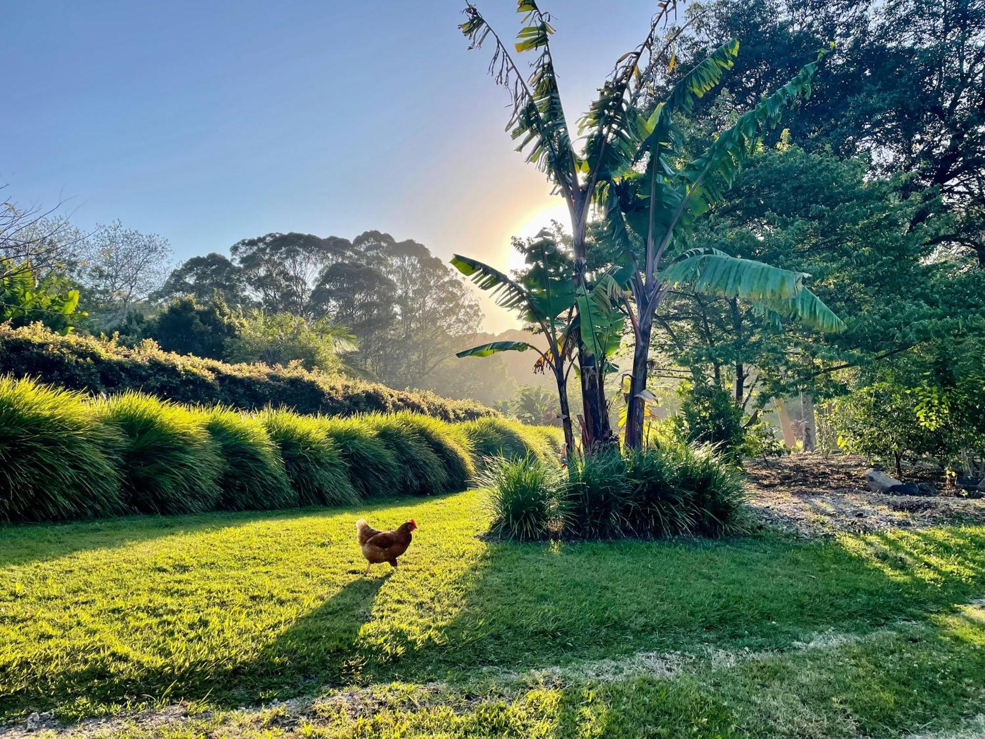 Villa Lily Pad At Byron Bay Esterno foto